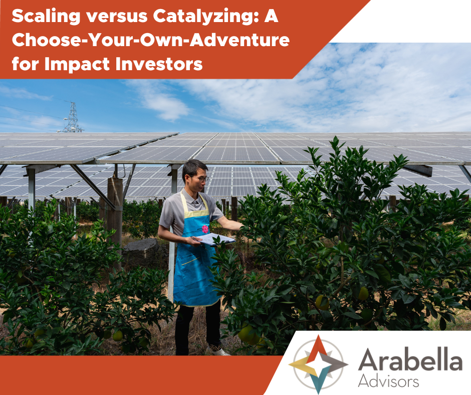 Scaling versus Catalyzing: A Choose-Your-Own-Adventure for Impact Investors